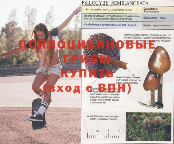 синтетический гашиш Осинники