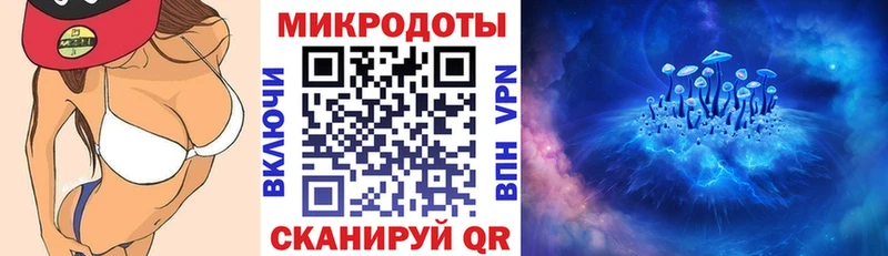 Галлюциногенные грибы Psilocybine cubensis  блэк спрут ссылка  Кондрово 