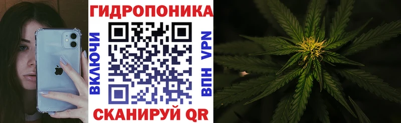 Бошки марихуана планчик  Кондрово 